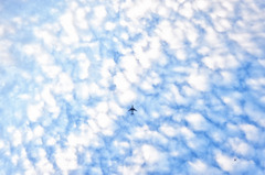 FLY, fly