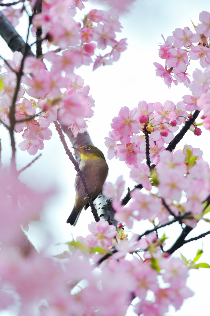 20120331_DSC8855