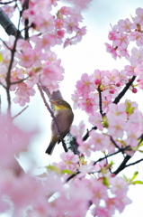 20120331_DSC8855