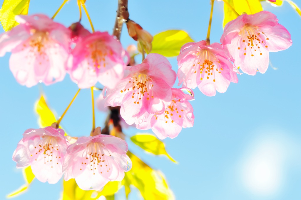 20120324_DSC8478