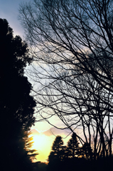 20120401_DSC9173
