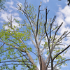 20130427_DSC0952