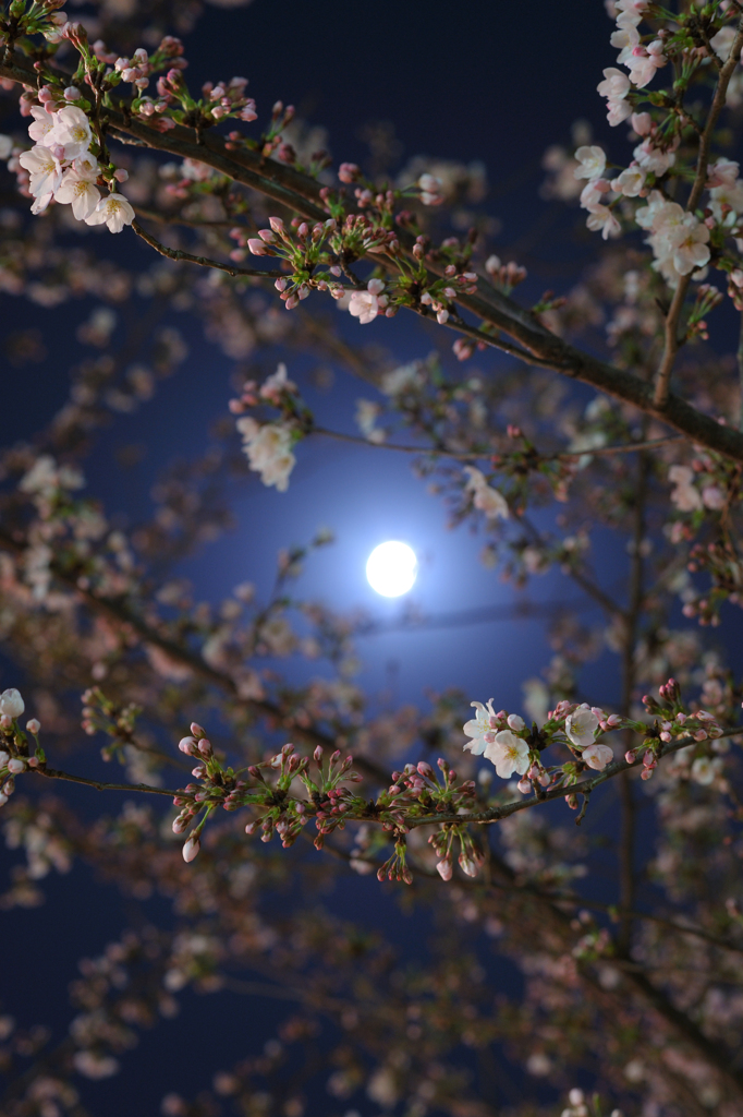 20120404_DSC9426