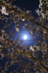 20120404_DSC9426