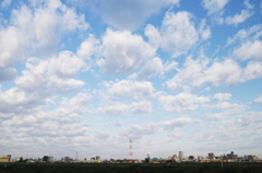 20130425_SDIM0423