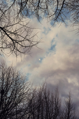20120401_DSC9246