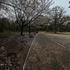 20130331_DSC9176