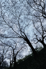 20120407_DSC9524