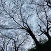 20120407_DSC9524
