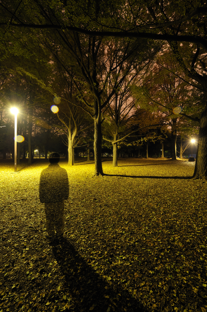 invisible man in the night forest