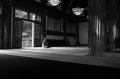 勤行の朝