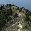 帰り道