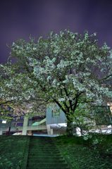 2011.04.21 旭川周辺夜撮影 022