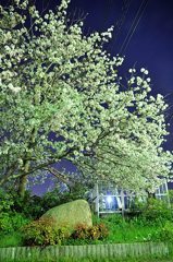 2011.04.21 旭川周辺夜撮影 062