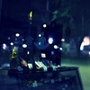 表町夜撮 245