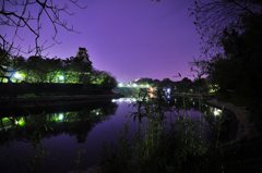 2011.04.14 夜桜撮影 079