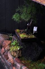 2011.04.17 岡山街撮影　因島撮影 040