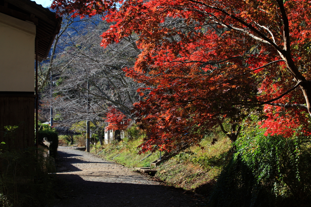 白豪寺