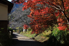 白豪寺