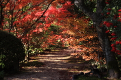 仁比山神社