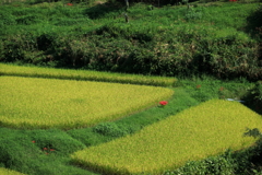 亀岡で