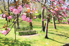 万博公園で