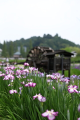 三田 永沢寺