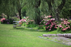  万博公園