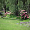  万博公園