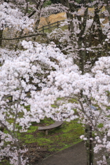 大野ダム
