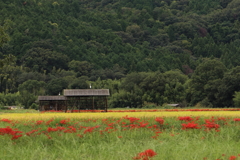 亀岡で