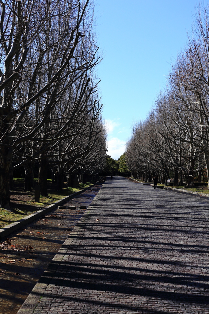 万博公園
