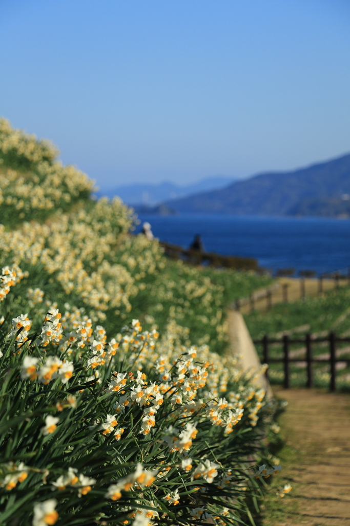 長崎から
