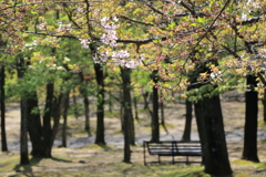 万博公園で