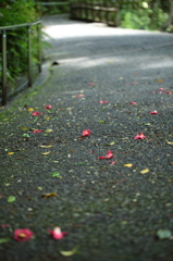 箕面の滝