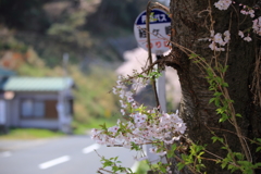 経ヶ岬