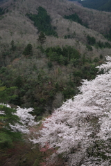大野ダム