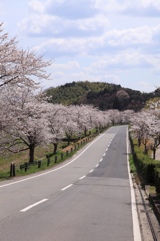 亀岡