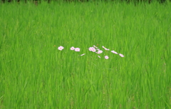 氷上町清住