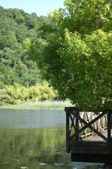 亀岡