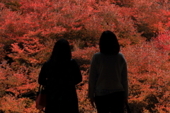 安国寺