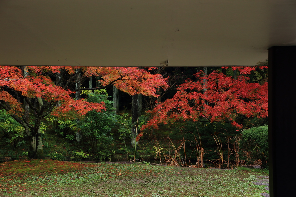 万博公園