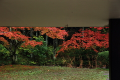 万博公園
