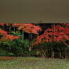 万博公園