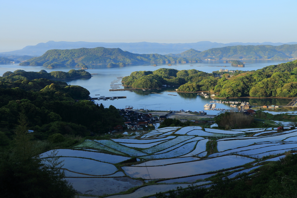 大浦の棚田