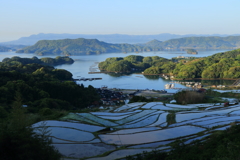 大浦の棚田