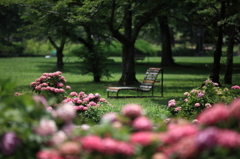  万博公園