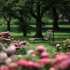  万博公園