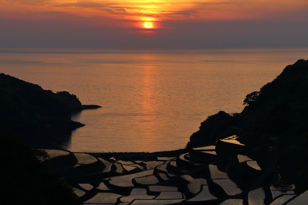 浜野浦の棚田