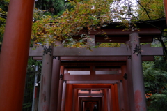 伏見稲荷